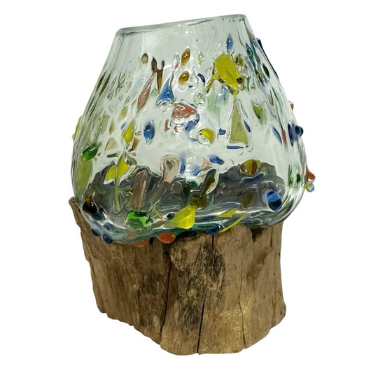 Coloured Glass Bowl on Driftwood Handcrafted 13x16cm