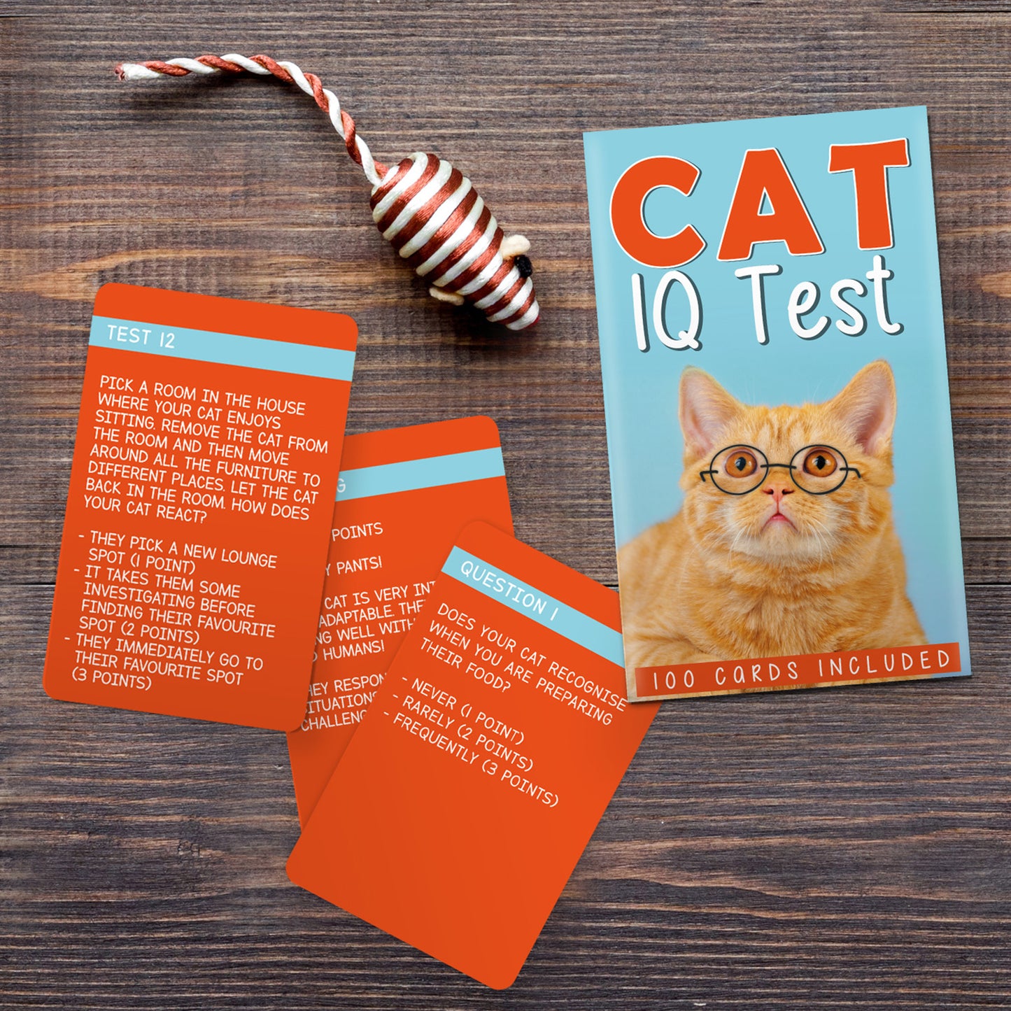 William Valentine - Cat IQ Test