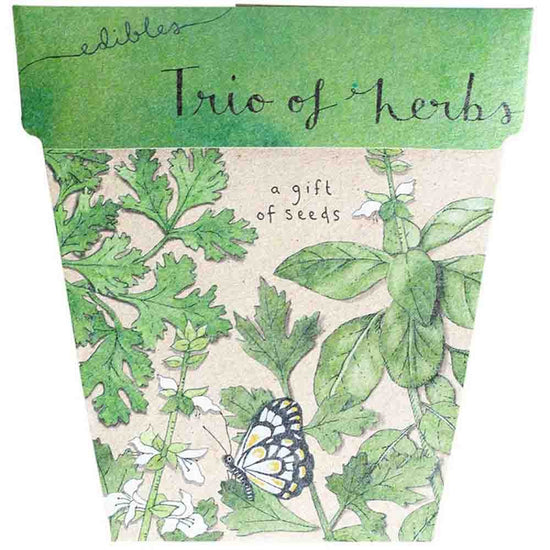 Sow N Sow Gift Of Seeds - Trio Of Herbs