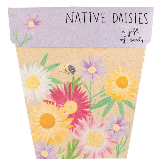 Sow N Sow Gift Of Seeds - Native Daisies