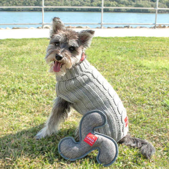 Louie Living Frisbee