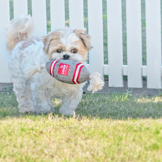 Louie Living Football