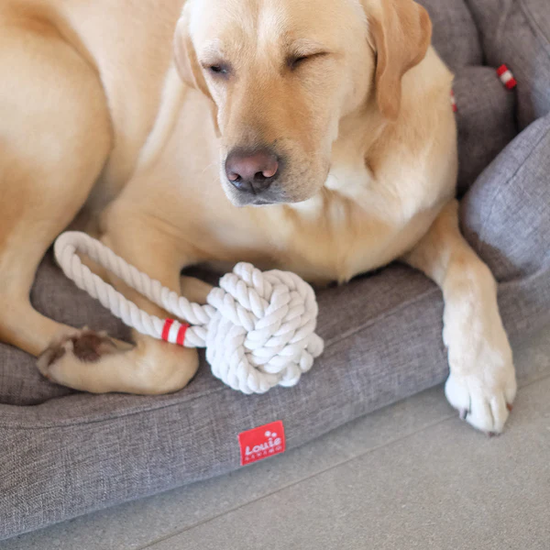 Louie Living Tug Rope - Medium