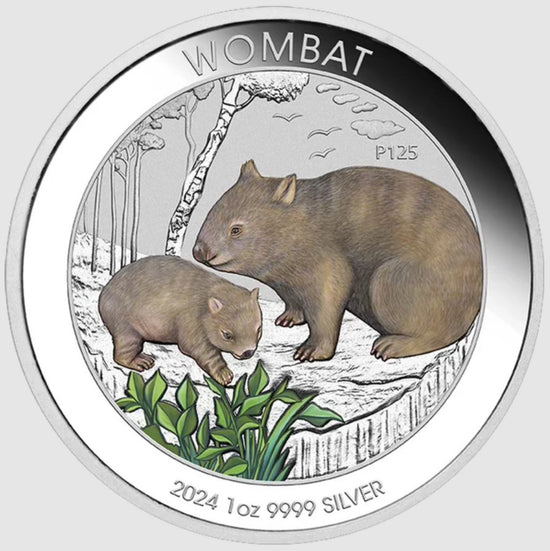 Wombat 2024 1oz Silver Coloured Coin In Card