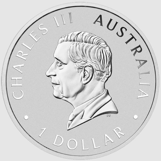 Wombat 2024 1oz Silver Coloured Coin In Card