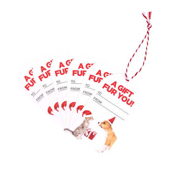 Christmas Fur You Set Of 6 Gift Tags