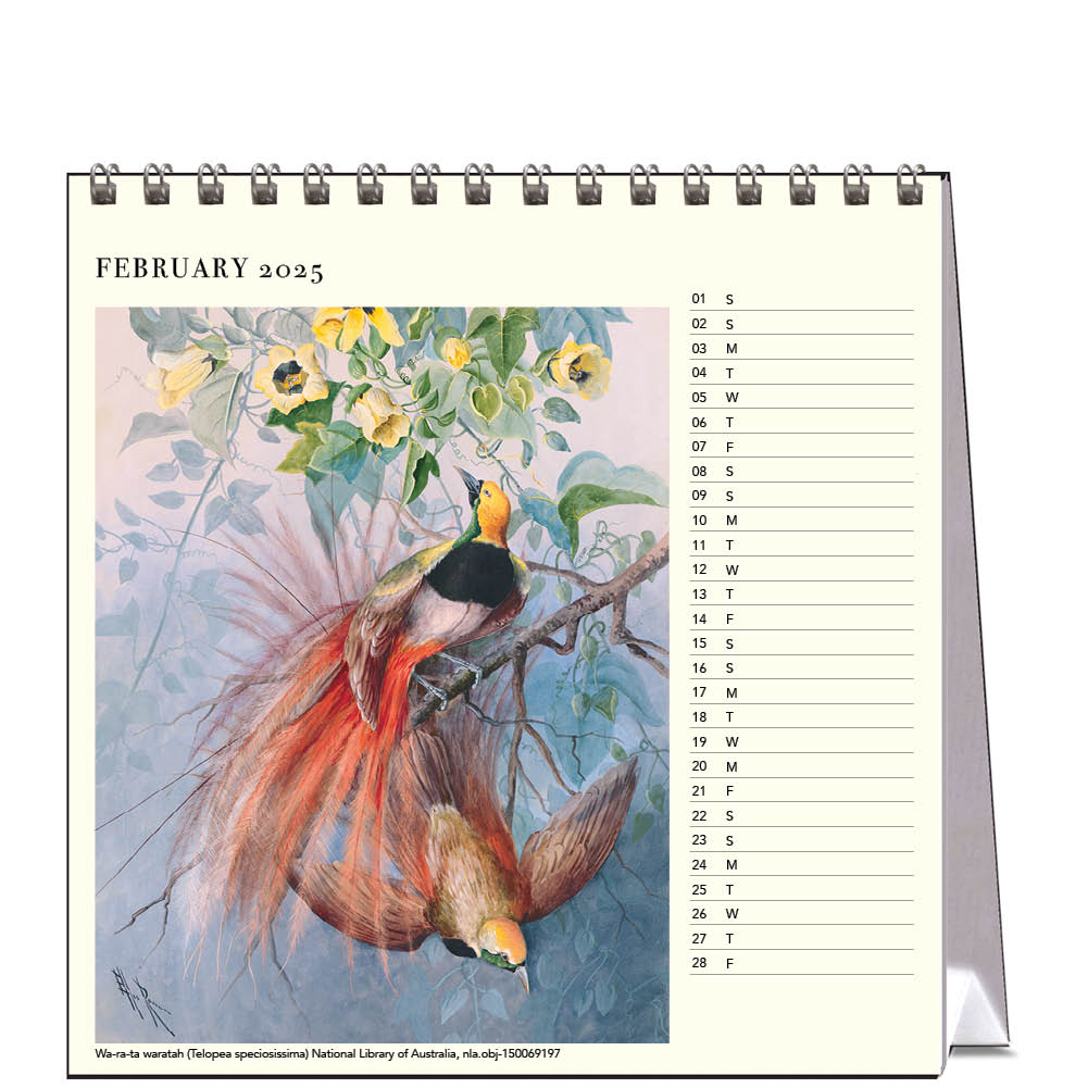 2025 Desk Calendar Ellis Rowan Birds