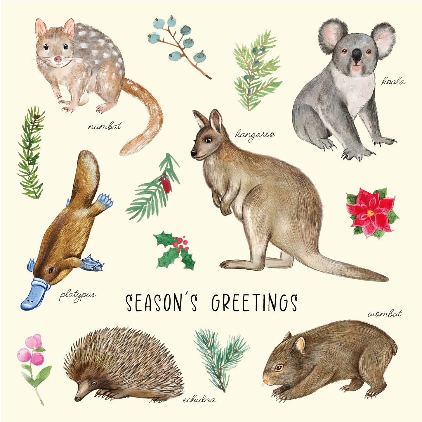 Rspca - Australian Fauna - 10 Charity Christmas Cards Pack