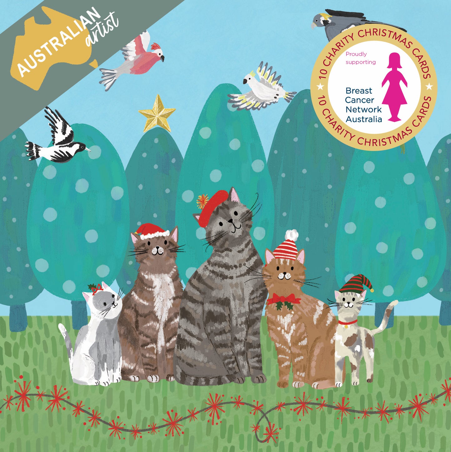 Bcna - Santa Cats - 10 Charity Christmas Cards Pack