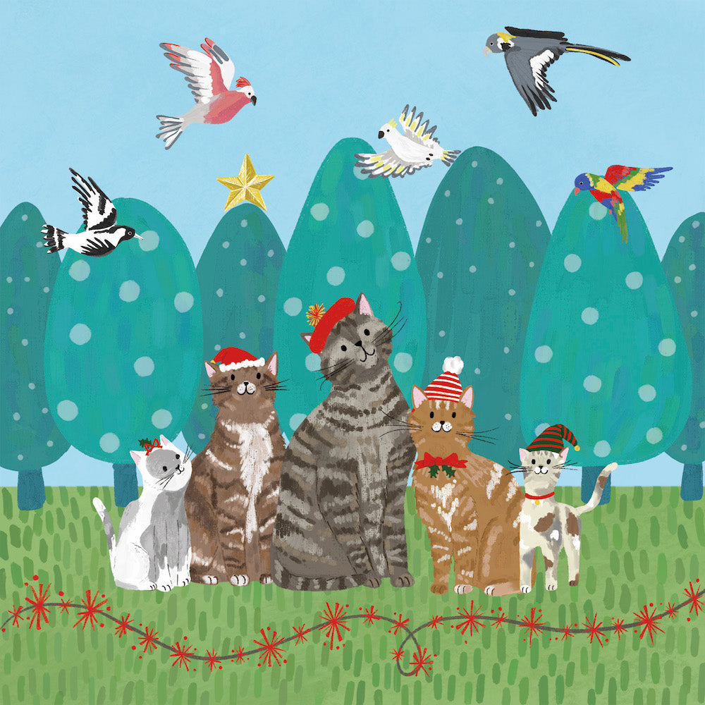 Bcna - Santa Cats - 10 Charity Christmas Cards Pack