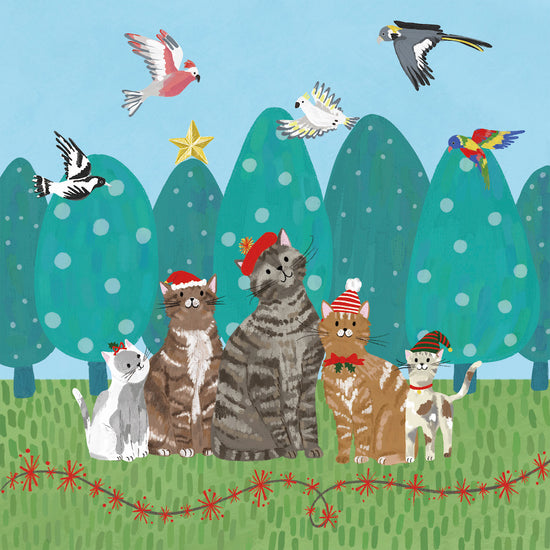 Bcna - Santa Cats - 10 Charity Christmas Cards Pack