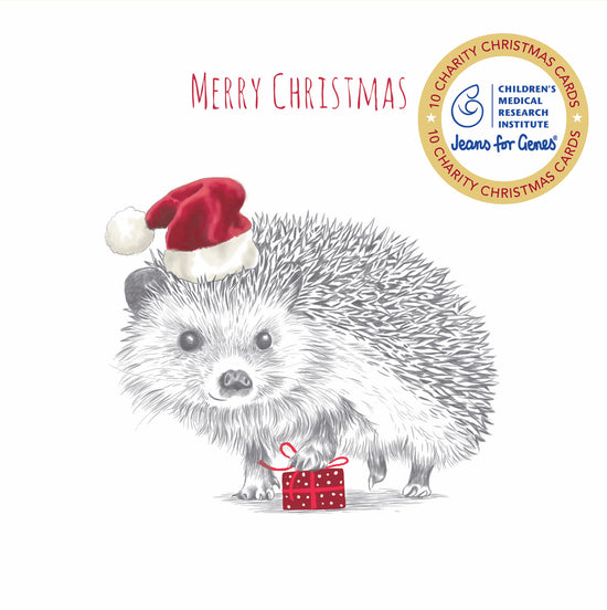 Cmri - Hedgehog Present - 10 Charity Christmas Cards Pack