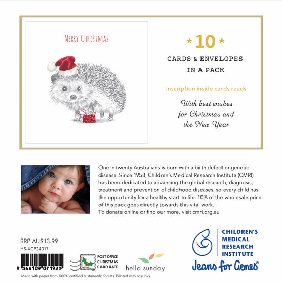 Cmri - Hedgehog Present - 10 Charity Christmas Cards Pack