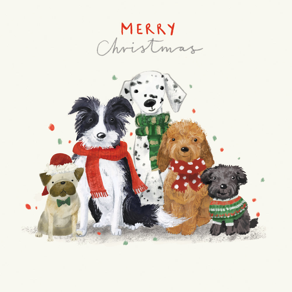 Cmri - Furry Friends - 10 Charity Christmas Cards Pack